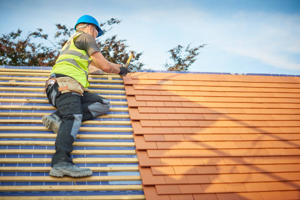 Best Roof Maintenance  in Brooklet, GA
